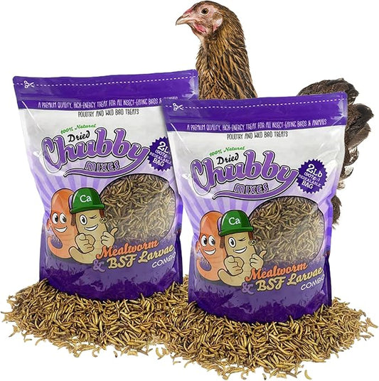 Chubby Mix Mealworm & Black Soldier Fly Larvae | 4 lbs | Non-GMO High-Protein Dried Insects for Chickens, Ducks & Wild Birds – Calcium-Rich Chicken Treats