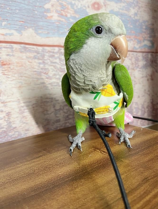 Bird Flight Harness Vest, Parrot Suit with Leash for Cockatiels Conures Budgies, Flying Clothes Rope and Handle Outdoor Activities Training (Yellow Vest Harness, M), Medium