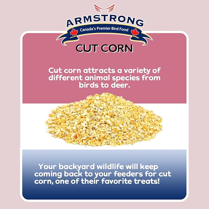 Armstrong Wild Bird Food Cut Corn, 23 Pounds - Premium High-Energy Feed for Mourning Doves, Blue Jays, Ducks & Deer - Ideal for Backyard Feeders, Ground Feeding & Outdoor Wildlife