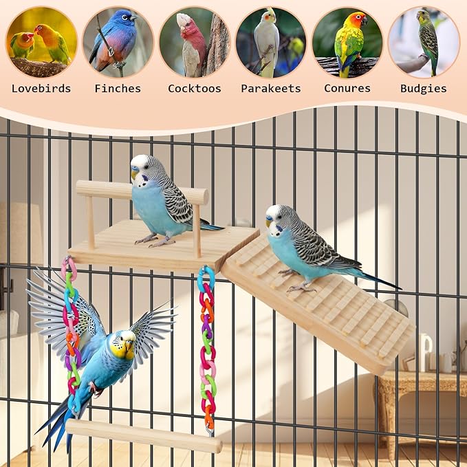 Bird Perches Platform Swing with Climbing Ladder Birds Toys Cage Accessories for Cockatiels, Lovebirds, Pacific Parrotlets,Chinchilla, Hamster Play Gym Exercise Stand