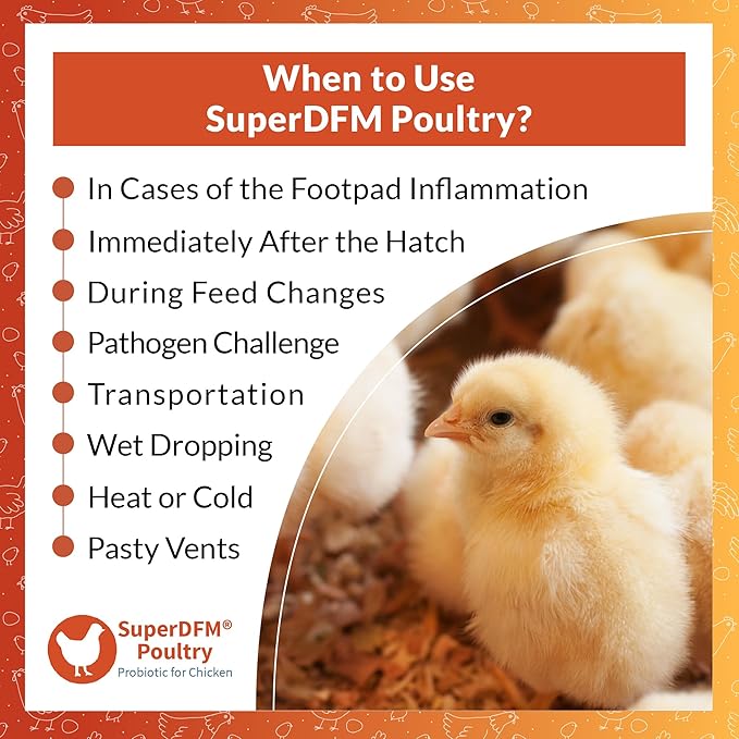 SuperDFM Poultry - All-Natural Probiotics for Chickens, Ducks, Quails & More - Commercial Poultry Supplements for Digestive & Immune Support - 50,000 Birds for 7 Weeks - 23.2 lbs