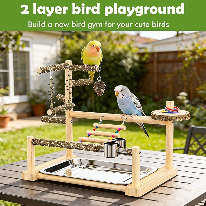 Bird Playground, Parrot Playstand Cockatiel Playground, Bird Play Stand with Feeder Cups, Swings, Ladder and Removable Tray, Parrot Perch Stand for Parakeet Conure Lovebird Budgie