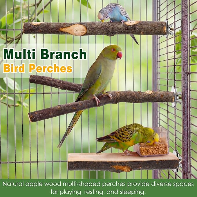 Saillong 4 Pack Natural Wood Bird Perch, Multi Branch Parrot Stand, Toy for Parakeet, Cockatiels, Conures, Lovebirds, Long Tailed Small Parrots Climbing Chewable Standing Cage Accessories