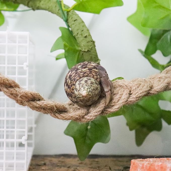 Hermit Crab Climbing Toys, Reptile Rope Ladder Supplies, Tank Aquarium Terrarium Vines Accessories, Habitat Decor for Lizards Geckos Snakes Bearded Dragon