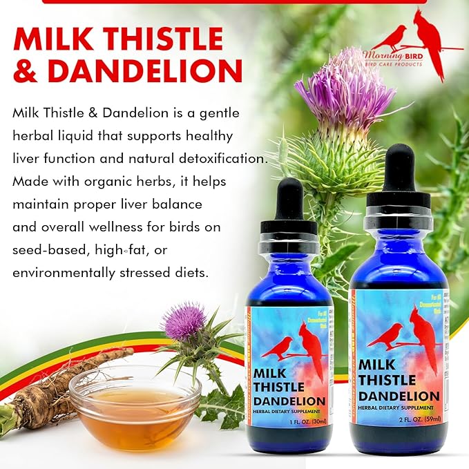 Morning Bird Milk Thistle & Dandelion Extract 1 fl oz – Organic Herbal Supplement for Birds – Supports Liver Health & Natural Detox – Suitable for All Bird Species