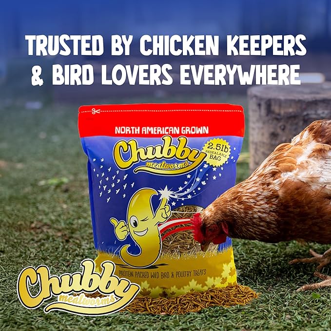 Chubby North American Grown Dried Mealworms | 30 lbs | Non-GMO High-Protein Treats for Chickens, Ducks & Wild Birds – Sustainable Chicken Feed