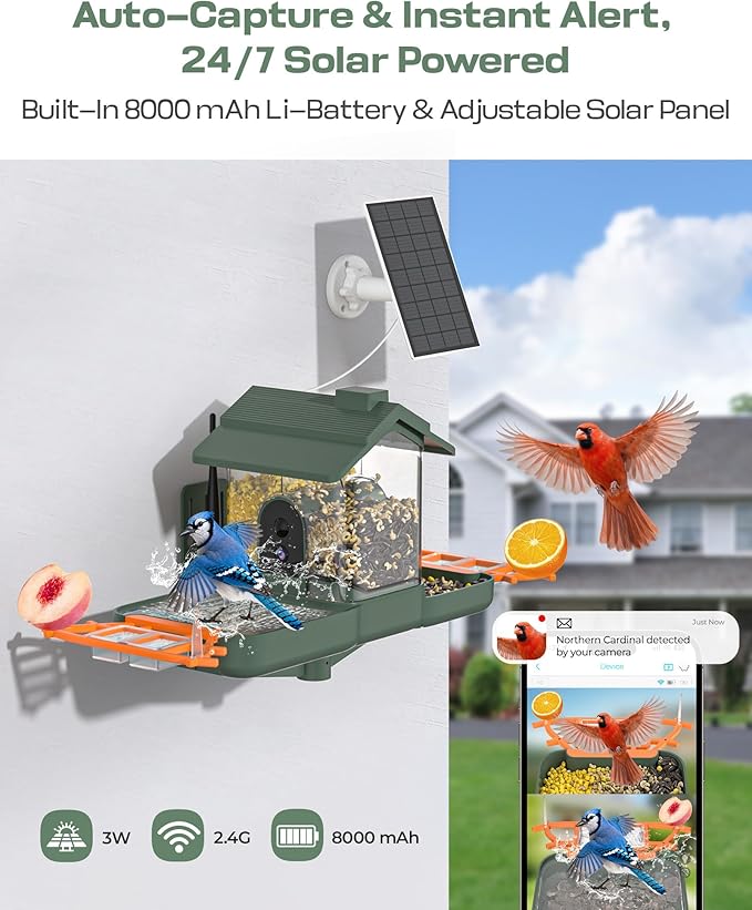 Bird Feeder with Camera and Bird Bath for Outdoors, Dual-Lens 2K HD Video with AI Identification, Solar Powered, Instant Alerts, IP66 Weatherproof