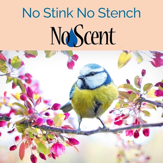 No Scent Bird Cage Cleaner Spray & Pet Odor Management, Natural Aviary Freshener (128 Fl Oz / 3.8 Liter) Gallon