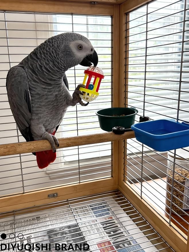 10-Pack Bird Toys for Parrots – Natural Rattan & Plastic Bell Balls – Safe, Fun Cage Decor & Foot Exercise (1.5'' - 5.5'')