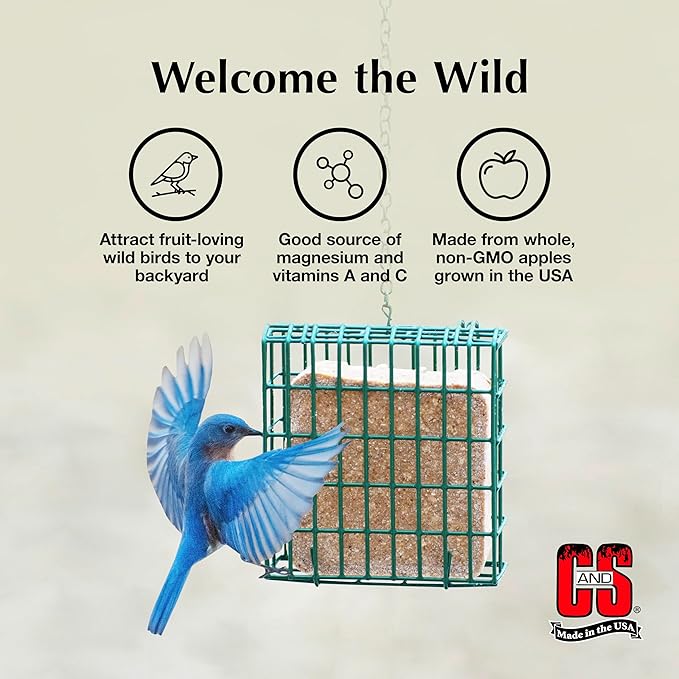 C&S Apple Suet Treat, Wild Bird Food for Fruit-Loving Bluebirds, Thrashers, Tanagers, Wrens and Robins, 11.75 Ounces, Pack of 8