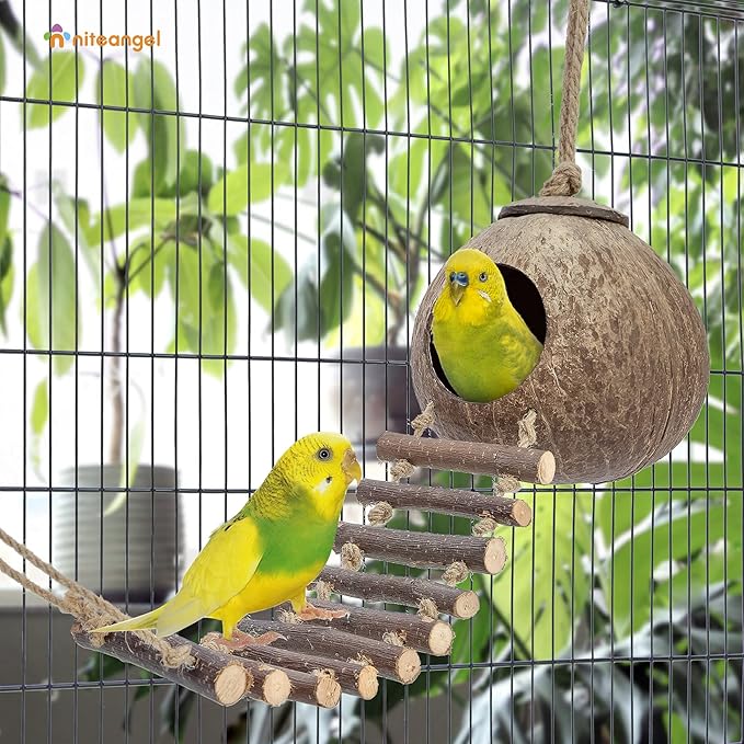 Niteangel Natural Coconut Hamster Hideaway with Ladder, Bird and Small Animal Toy (House with Ladder, Smooth Surface)