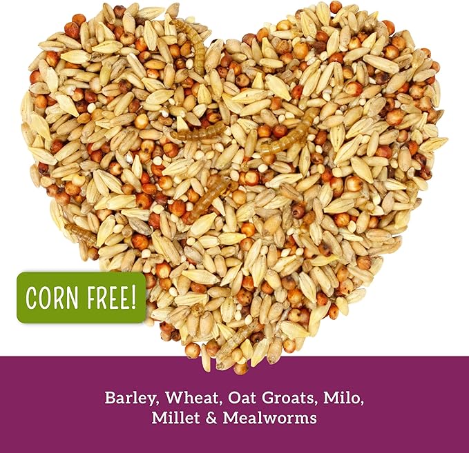 Love My Girls: Chicken Snacks - 5-Grain & Worms - 5lb Bag - Global Harvest, Gourmet Multi-Grain Treats, Corn-Free, Nutritious & Protein Rich Mealworms