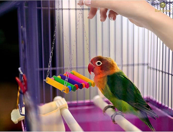 SunGrow Parrot Cage Hammock Swing, Colorful Wooden Swing with Metal Chain and Clasp, 1 Pack