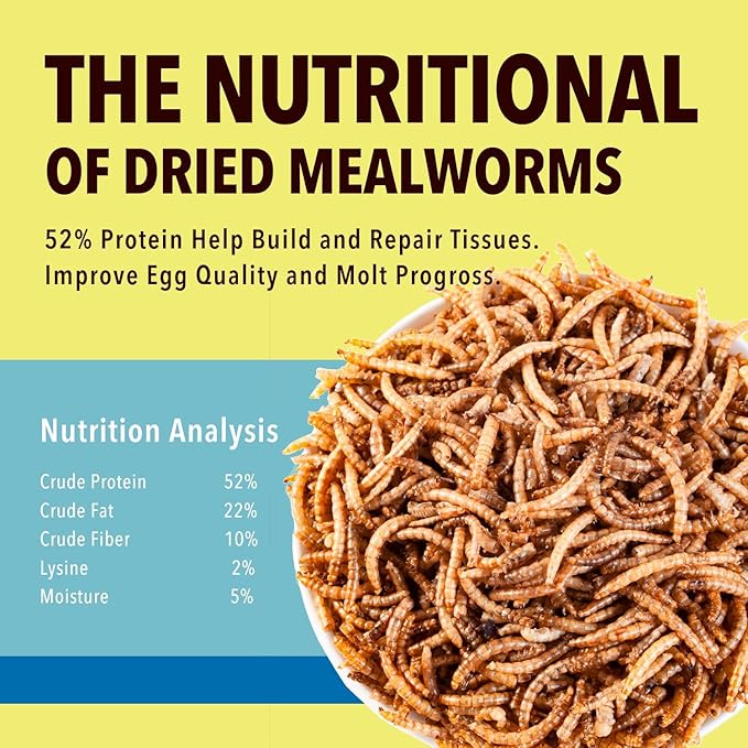 WormsFarm 10lb Dried Mealworms for Wild Birds Chickens Feed for Laying Hens,Ducks,Reptiles