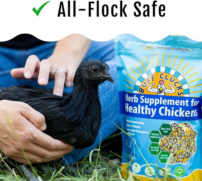 Buff Clucks Herb Supplement for Backyard Chickens - Natural Chicken Treats, Poultry Feed Botanical Mix, Plant-Based Coop Snacks for Daily Wellness, Feather Quality, Egg Production, USA (20 LB)