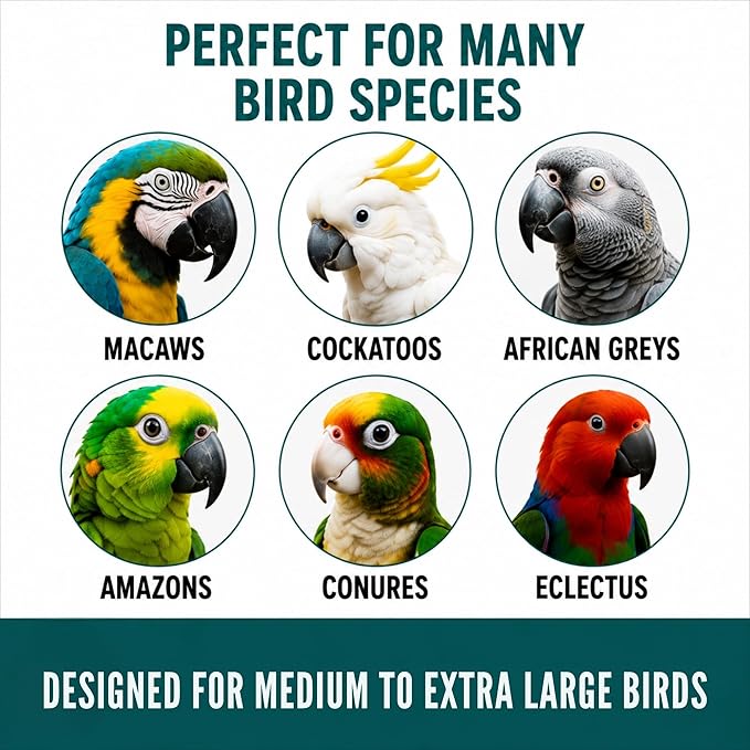 Bird Toys (Goodie Gadget) Treat Dispenser | Parrot Foraging | Bird Puzzle Feeder | Large Bird Toys | Durable Cage Accessory to Promote Natural Foraging Behavior for Parrots, Cockatiel, Parakeets