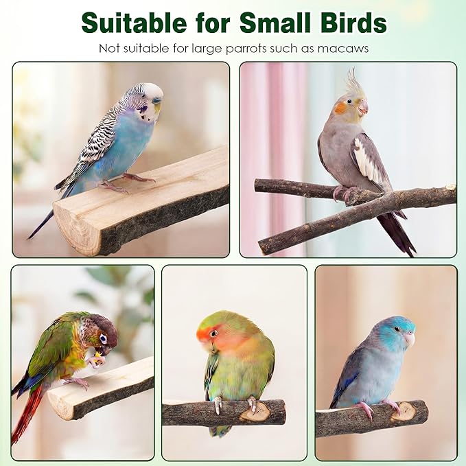 Saillong 4 Pack Natural Wood Bird Perch, Multi Branch Parrot Stand, Toy for Parakeet, Cockatiels, Conures, Lovebirds, Long Tailed Small Parrots Climbing Chewable Standing Cage Accessories