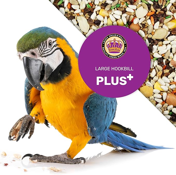 Large Hookbill Plus 5 Lbs, Parrot Food for Large Hookbills, Bird Seed for Healthy Balanced Diet, Parrot Bird Food for Amazon, Macaw, Cockatoo, African Grey for Growth, Energy & Digestive Health