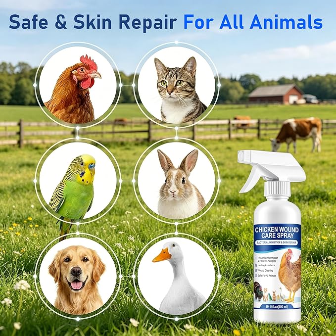 Chicken Wound Spray, Poultry Wound Wash, No Rinse, No Contact, for Cuts,Stabs,Abrasions and Foot Abscesses, Safe for All Animals, 300ml
