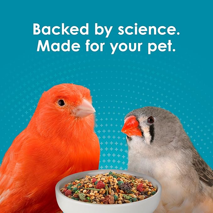 Kaytee Forti-Diet Pro Health Pet Canary & Finch Food, 2 lb