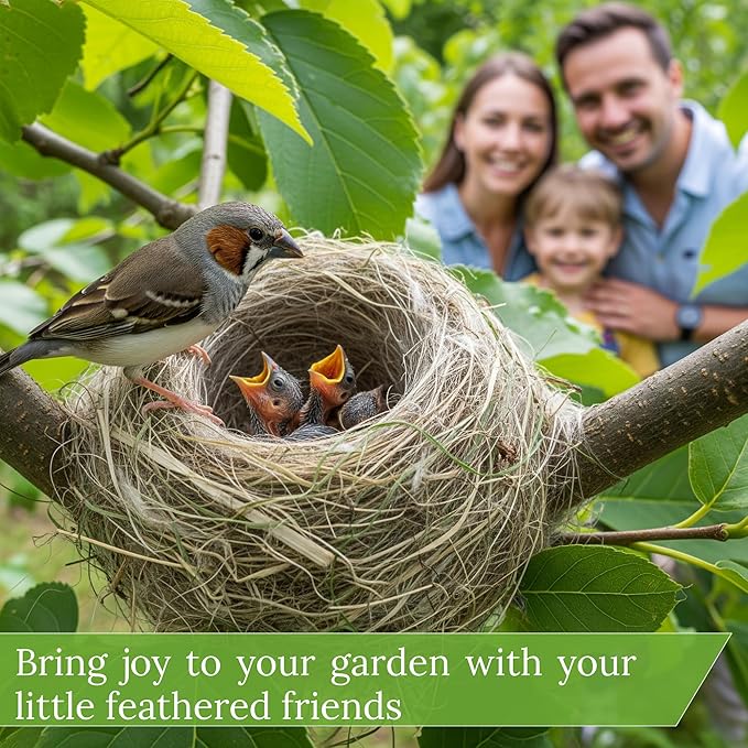 Hummingbird Nesters Bird Nesting Material Holder for Wild Birds Humming Bird House Materials Gifts for Bird Watching Nature Lovers Refillable Outdoor Bird Station (Wool Nesting Material)