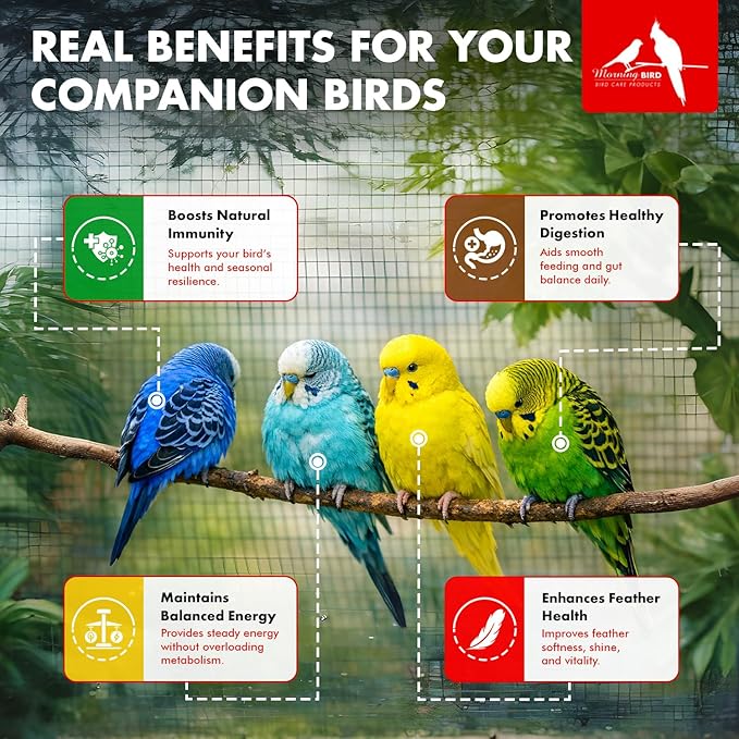 Morning Bird Coconut Oil for Birds 4 oz – Cold Pressed, Organic - Supports Immunity & Digestion – Boosts Energy & Feather Health – Easy to Mix – Safe for All Bird Life Stages