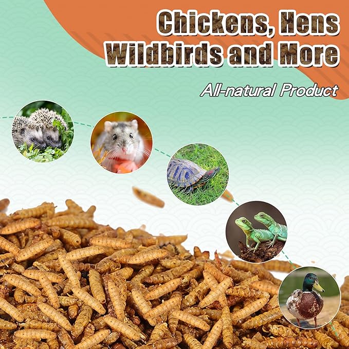 5LBS Black Soldier Fly Larvae for Chickens - Premium Dried BSFL Treats with 52% Protein & Calcium Boost - Superior Alternative to Mealworms - Resealable Bulk Bag for Hens & Bluebirds