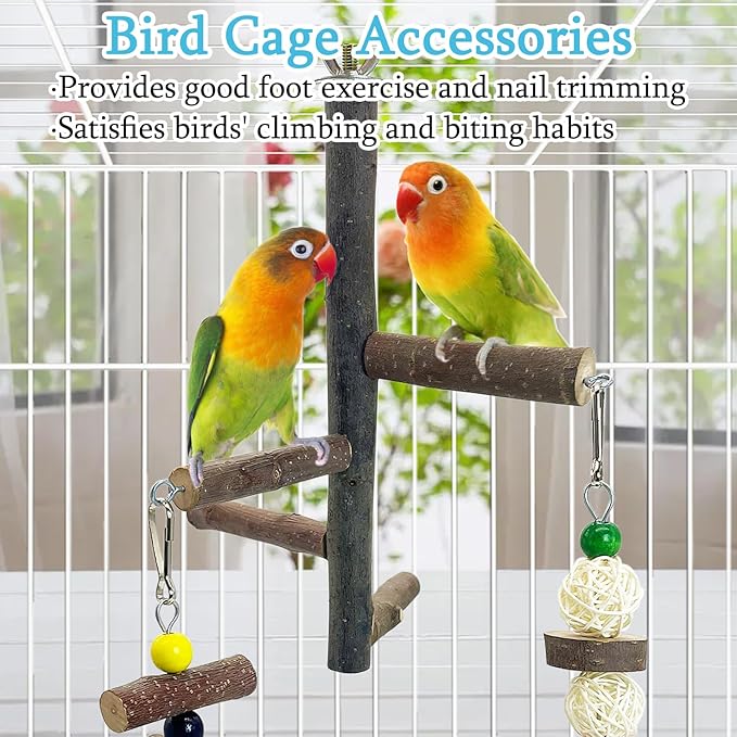 Hamiledyi Bird Perch Stand Toy, Natural Wood Bird Perch Stand Birds Perch Toys with Rotating Balls Parakeet Toys for Parakeets Cockatiels Conures Budgies Finches Love Birds