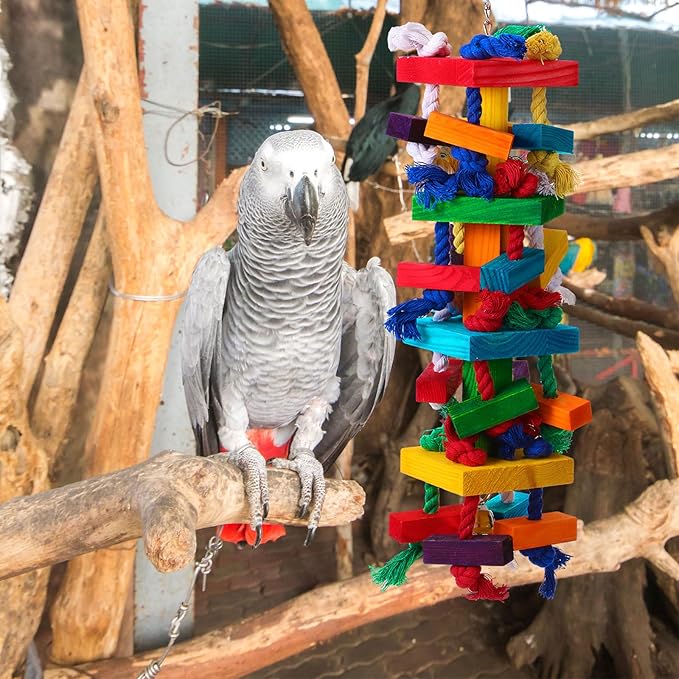 Soulchen 4 Pcs Extra Large Bird Parrot Toy Set Natural Wooden Chewing Toy, Rattan Ball, Wood Nut Loofah String (Bagged) for Large Macaws, African Grey, Amazon Parrots (Colorful Ring)