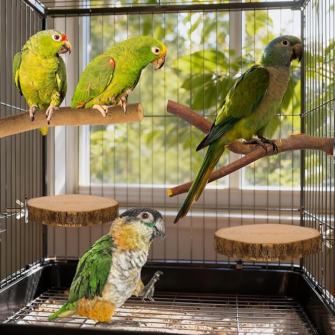 8 Pack Natural Wood Bird Perches, Parrot Perch Stand Bird Cage Accessories for Budgerigar Cockatiels, Conures, Lovebirds (M)