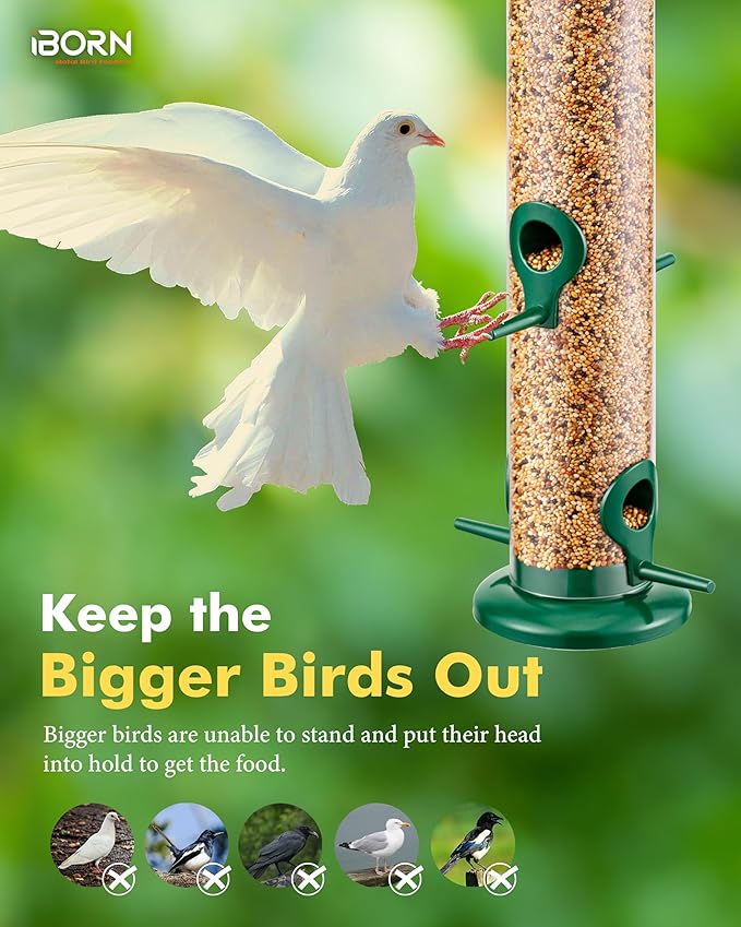 iBorn Metal Bird Feeders Hanging Wild Bird Seed Feeder for Mix Seed Blends, Niger Seed Feeder, Sunflower Heart, Birdbath, Heavy Duty All Metal Green Finishing 15 Inch 4Port