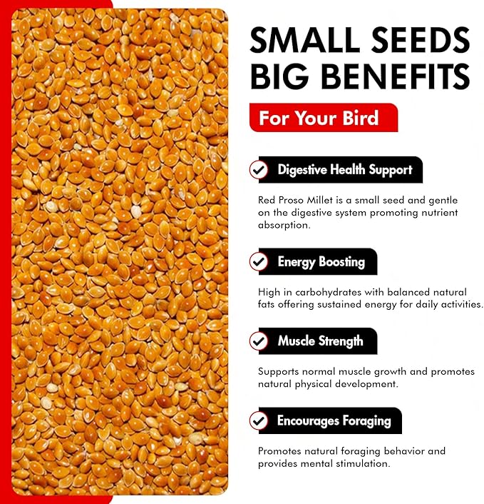 Morning Bird Red Proso Millet Bird Seeds 18 lbs (2-Pack, 9 lbs Each) – Healthy & Nutritious Pet Bird Food - Bird Seeds for Feather Growth – Perfect for Finches, Parakeets & Other All Pet Birds