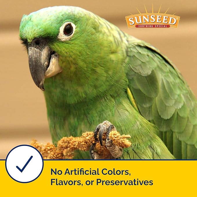 Sunseed Golden Spray Millet Treat for Birds, 12 oz