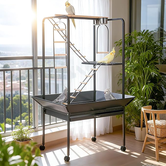 Pet Products Parrot Playstand with Wheels, Bird Cage Stand Activity Play Center with Perches and Ladders, Indoor Outdoor Playground for Birds, Black Hammertone Finish