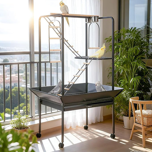 Pet Products Parrot Playstand with Wheels, Bird Cage Stand Activity Play Center with Perches and Ladders, Indoor Outdoor Playground for Birds, Black Hammertone Finish
