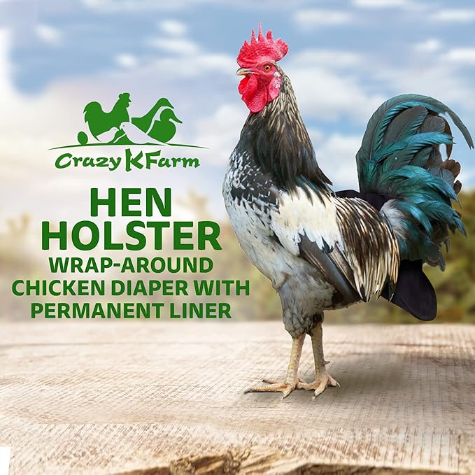 Hen Holster Premium Starter Kit - Bird Diaper, Wrap Around for Hens, Roosters, Ducks - Leak-Proof, Comfortable Bird Harness with Sewn-in Liner, Secure Hook & Loop Closure - S/M, Black