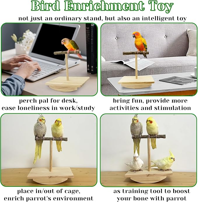 Natural Wood Bird Perch Stand Training, Quaker Parrot Toys, Intelligence Puzzle Enrichment Toys for Parakeets, Wooden Parrot Perch Platform for Large Birds, Bird Playground Play Stands for Sun Conure