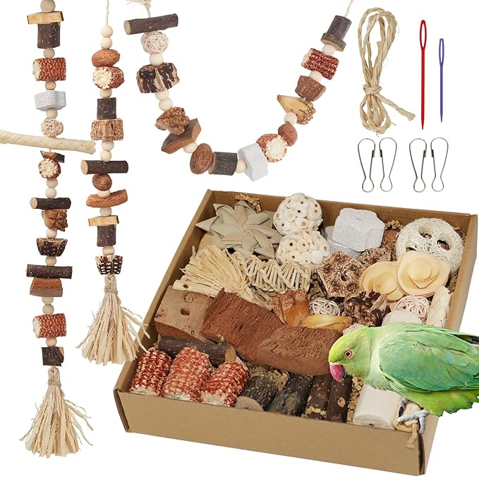 Bird Toys Parrot Natural Foraging Box Parakeet Toys DIY Hanging String for Cockatiels,Conures,Love Birds,and Other Small to Medium Birds Cage Accessories (Large)