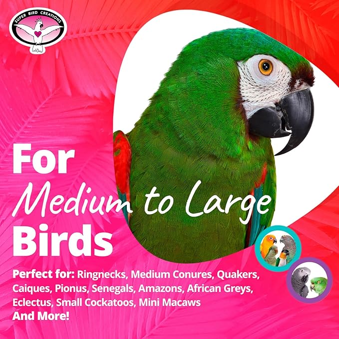 Super Bird Creations SB1218 Cardboard Treat Block - Interactive Chewing and Foraging Bird Toy for Medium to Large Birds - African Greys, Parrots, Quakers - Encourages Exploration & Physical Exercise