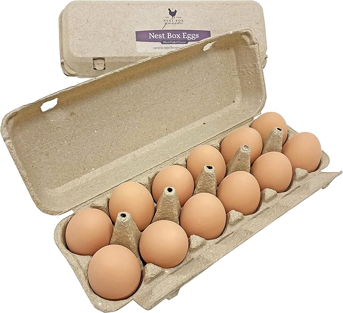 Nest Box Queen Brown Chicken Nest Eggs - 12 Ceramic Eggs for Nest Box Training & Home Decor