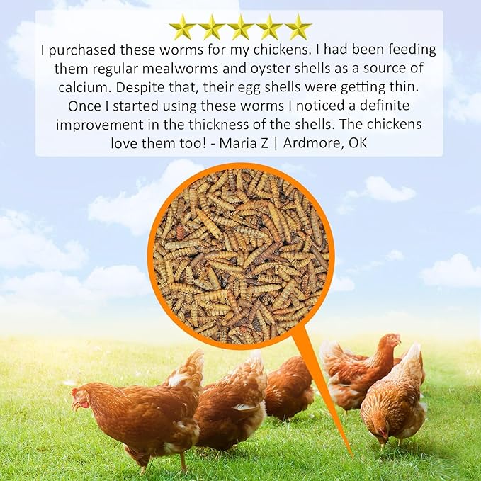 Exotic Nutrition 60 LB Bulk Dried Black Soldier Fly Larvae - High-Calcium Insect Treat - Chickens, Wild Birds, Bluebirds