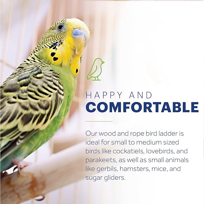 Prevue Pet Products Rope Ladder Bird Toy - Accessories for Small to Medium Birds, Hanging Birdcage Toy for Climbing, Foot Exercise, Beak Use, Mental Enrichment, and Interactive Play
