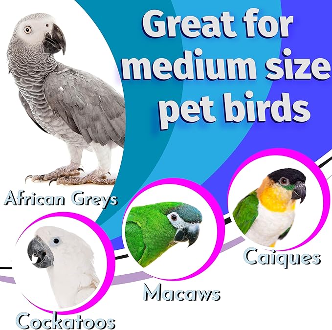 1060 Jumbo Bird Bolt Pk12- Colorful Interactive Big Foot Toys, Classic Toy Design, Assorted Colors and Parts, Great Fun for Med to Large Pet Birds