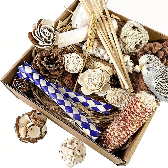 Bird Foraging Toys Parrot Chew Shredding Toys Bird Foraging Box for Parakeets Cockatiels Conures Lovebirds and Small to Medium Birds (Burlywood)