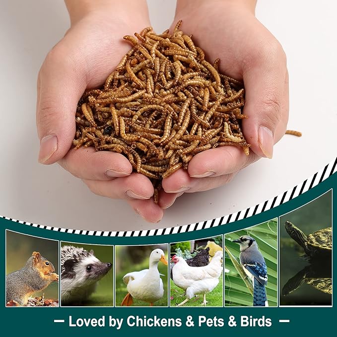 44LB Non-GMO Dried Mealworms, 100% Natural Large Size No Moisture, Mealworms for Chickens, Birds, Hedgehog, Hamster, Fish, Reptile, Turtles