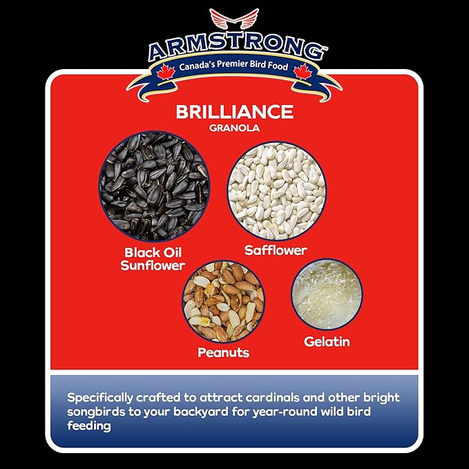 Armstrong Wild Bird Food Royal Jubilee Brilliance Granola Stack, 4.94oz (Pack of 4) High-Energy Treat with Black Oil Sunflower, Safflower & Peanuts - Ideal for Granola Stack Feeders
