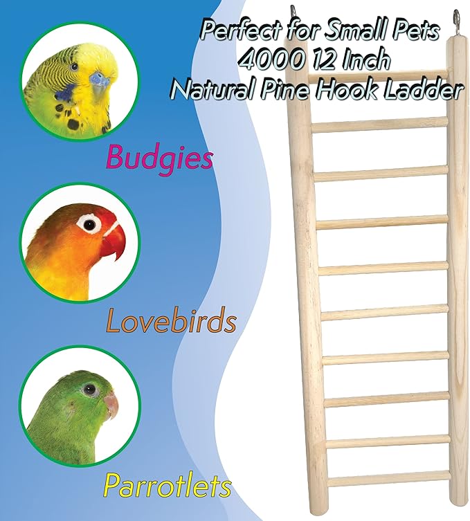 4000 12 Inch Natural Pine Hook Ladder - Straightforward Hanging Wood Ladder, Made from Natural Unfinished Pine Wood, Easy to Grab Round Parts, Great Exercise for pet Birds Budgie Finch Lovebird