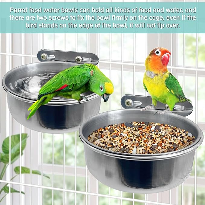 PINVNBY Stainless Steel Bird Bowl Parrot Food Water Bowls with Clamp Holder Bird Feeder Dish Cups Crate Bowls for Cockatiel Pigeons Conure Budgies African Greys (2PCS Screw Size: S)