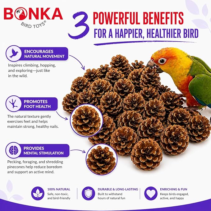 Bonka Bird Toys 3284 Natural Pine Cone Bird Toy 2" Real Pinecone Chew Foraging Toy for Small to Medium Birds Parakeet Cockatiel Conure Finch Cage Enrichment (Pack of 12)