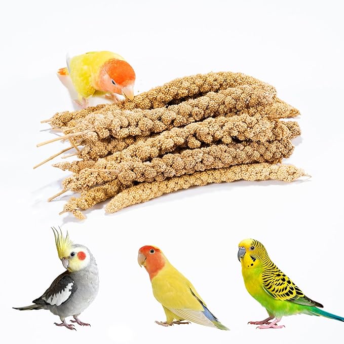 14 Oz Spray Millet Treat for Bird, for Parrot, Budgies, Parakeets, Cockatiels, Finches, Lovebirds, Canaries and Other Pet Birds